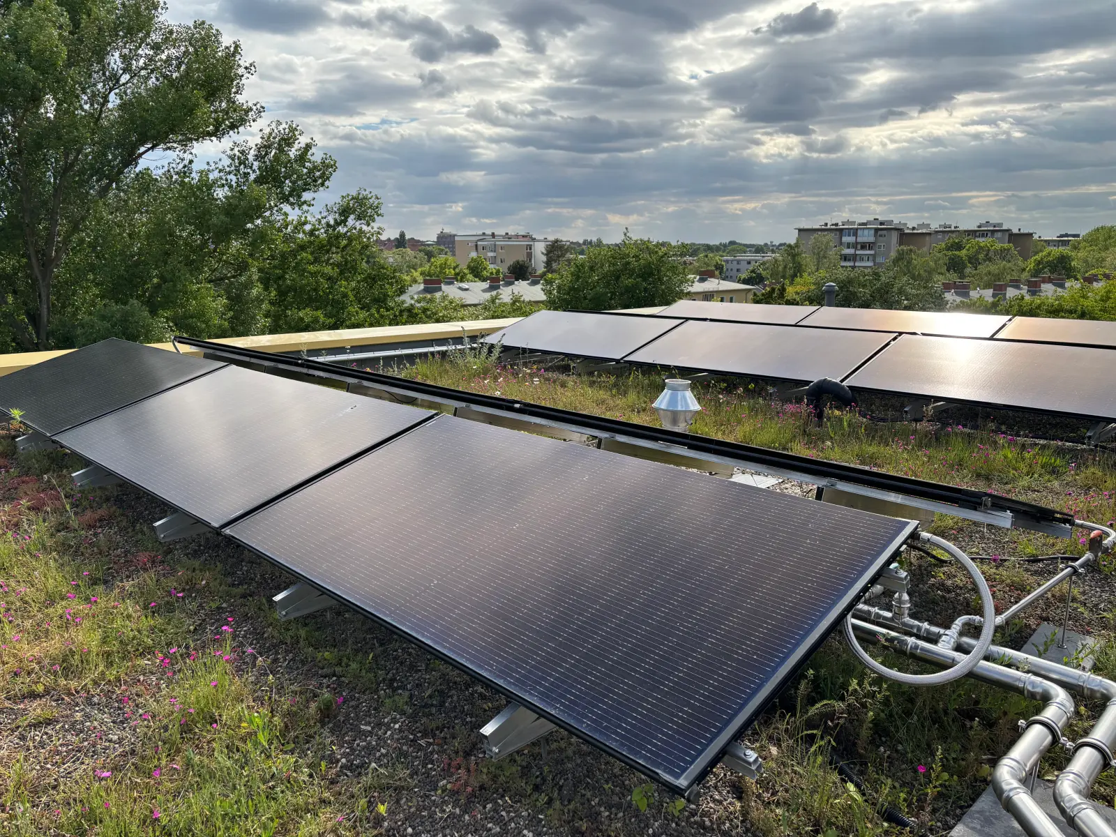 Mehrgenerationenhaus Holländergarten: Mehrere PVT-Module auf begrüntem Flachdach zur kombinierten Erzeugung von Strom und Wärme. Bild mit KI erstellt.
