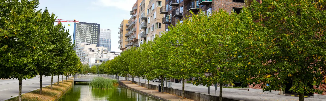 moderne Gebäude stehen an einem Kanal mit Bäumen in der Stadt